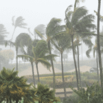 Hurricane Milton and Your Supply Chain
