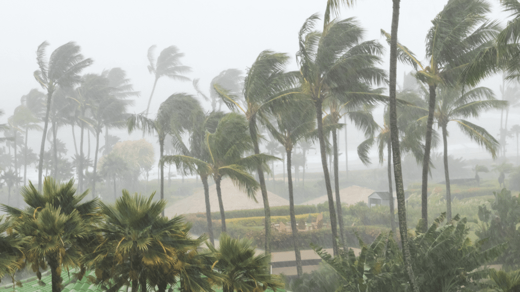 Hurricane Milton and Your Supply Chain