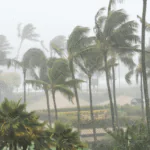 Hurricane Milton and Your Supply Chain